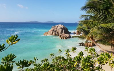 Que faire lors de votre séjour aux Seychelles ?